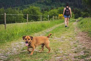 Schwarzwald Panorama