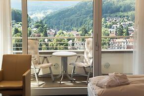 Schwarzwald Panorama