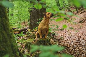Schwarzwald Panorama