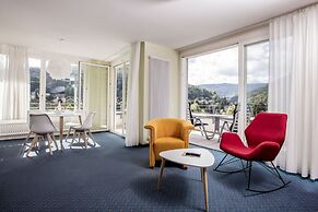 Schwarzwald Panorama