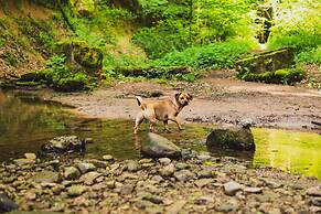 Schwarzwald Panorama