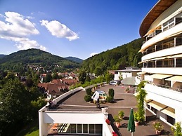 Schwarzwald Panorama