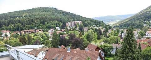 Schwarzwald Panorama