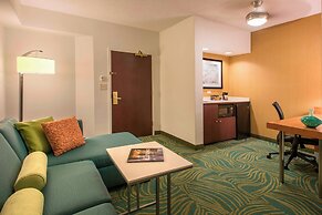 SpringHill Suites by Marriott Charlotte Airport