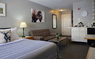 Mountain View Inn