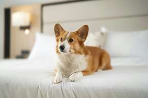 Mont Gabriel, Sainte-Adele, a Tribute Portfolio Resort