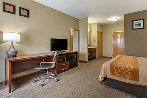 Comfort Inn Walcott near Davenport