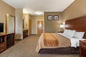 Comfort Inn Walcott near Davenport