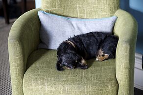 The Lodge Hotel - Putney