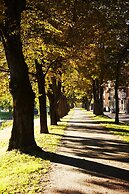 Best Western Hotel River C