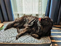 Mercure Hotel Hamburg Mitte