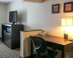 Comfort Suites Benton Harbor - St. Joseph