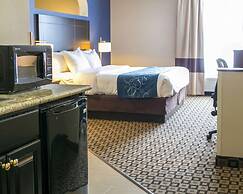Comfort Suites Benton Harbor - St. Joseph