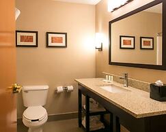 Comfort Suites Benton Harbor - St. Joseph