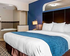 Comfort Suites Benton Harbor - St. Joseph