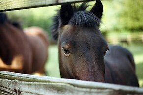 Mount Juliet Estate, Autograph Collection