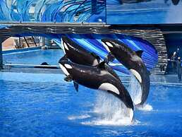 Holiday Inn Express And Suites Clermont Se West Orlando by IHG