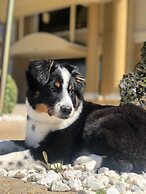 Holiday Inn Express Hotel & Suites Mount Pleasant by IHG