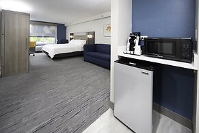 Holiday Inn Express Hotel & Suites Atlanta Johns Creek by IHG