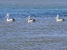 Oaks The Entrance Waterfront Suites