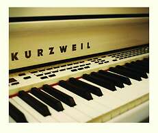 Distinction Coachman Hotel, Palmerston North