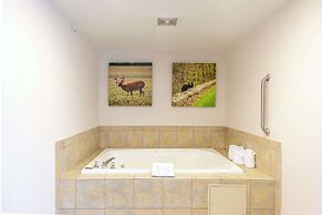 Hampton Inn Front Royal