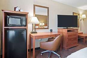 Comfort Inn & Suites Rapid City near Mt. Rushmore