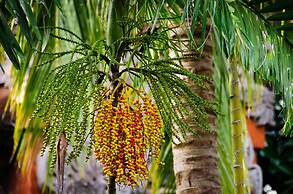 Bali Garden Beach Resort