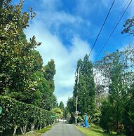 Aloha Junction Bed and Breakfast