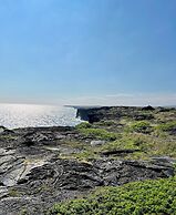 Aloha Junction Bed and Breakfast