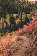 The Lodge at Mountain Village by All Seasons Resort Lodging