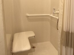 Backyard Garden Oasis