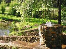 Backyard Garden Oasis