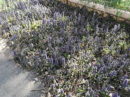 Backyard Garden Oasis