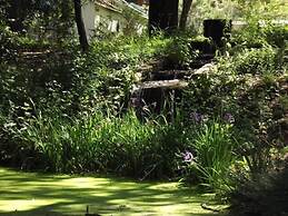 Backyard Garden Oasis