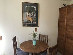 Backyard Garden Oasis