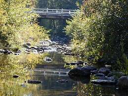 Backyard Garden Oasis