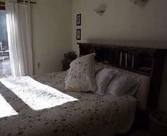 Backyard Garden Oasis