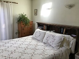 Backyard Garden Oasis