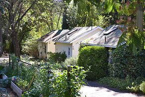 Backyard Garden Oasis