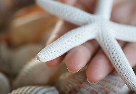 Plaza Beach Hotel Beachfront Resort