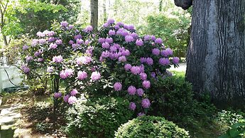 A Williamsburg White House