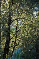 Mine + Farm, The Inn at Guerneville, CA