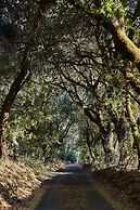 Mine + Farm, The Inn at Guerneville, CA