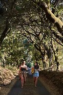 Mine + Farm, The Inn at Guerneville, CA