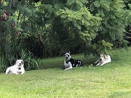 Hawaii Island Resort