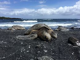 Hawaii Island Resort