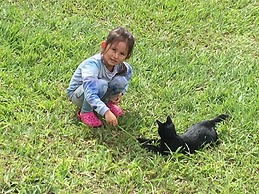 Hawaii Island Resort