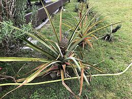 Hawaii Island Resort