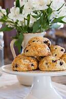 Mountain Meadows Lodge